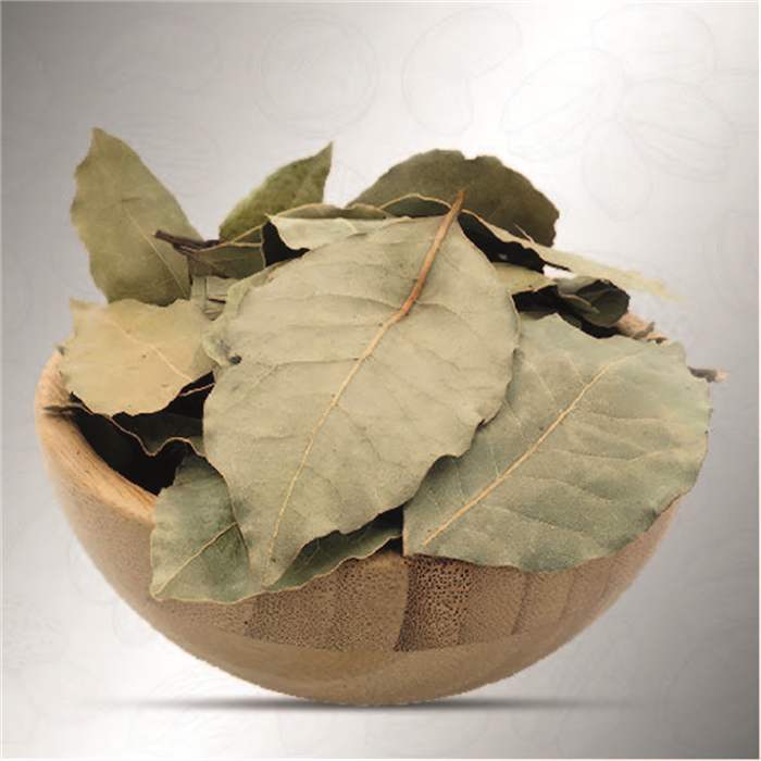 Bay Leaf